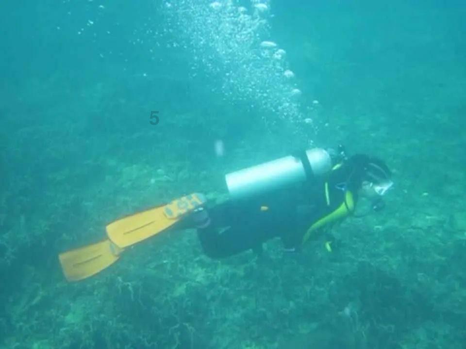 嘉日单词