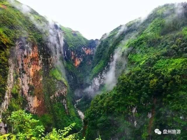 动物帮帮忙保卫家园