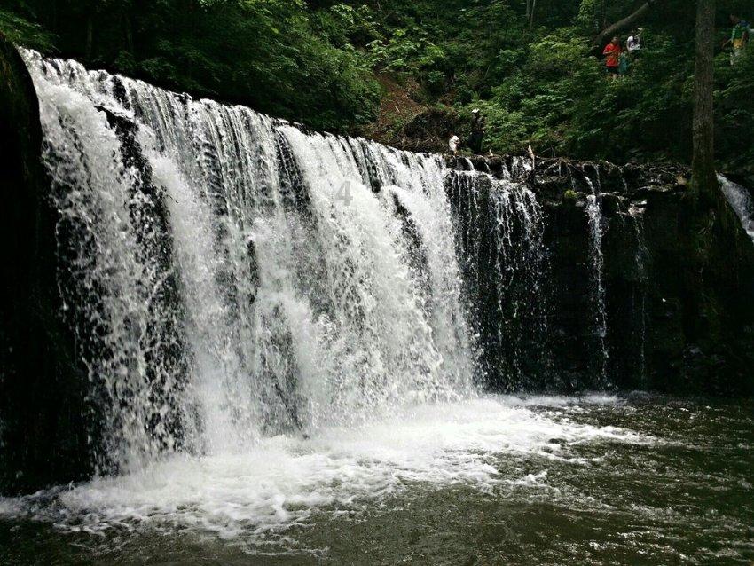 沪江开心词场